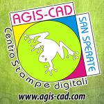 Agis-Cad_logo